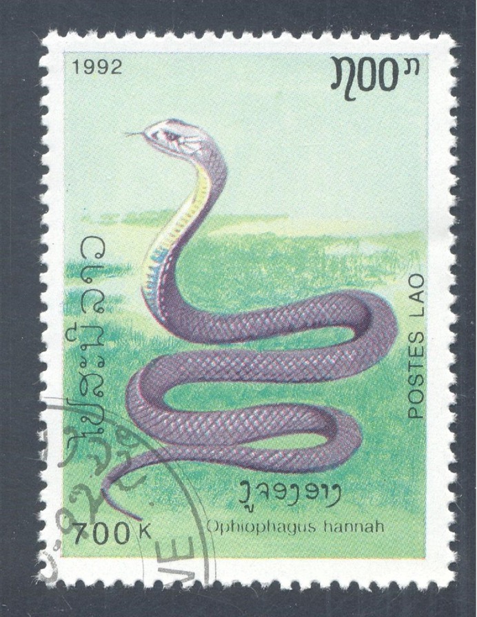 9ae42b91f0256e553bd45ea7150cb74e.jpg (1235×1600)