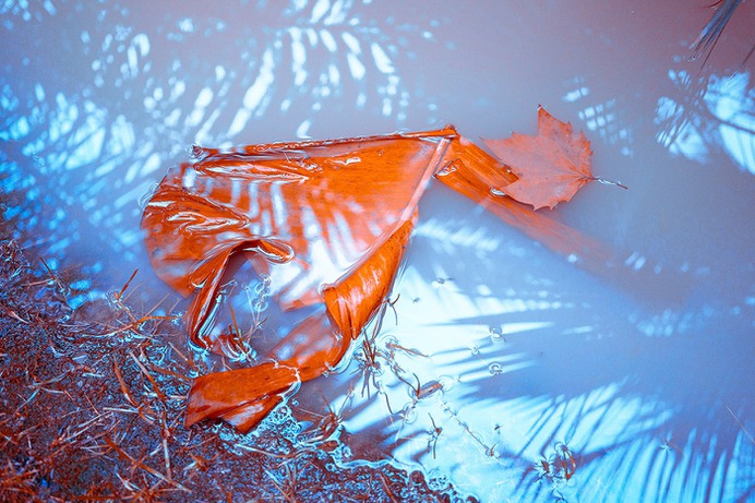 Nuclear Garden Photo-series - Mindsparkle Mag Beautiful photography set entitled Nuclear Series by Local Preacher, in Russia. #design #color #photography #graphic #design #gallery #blog #project #mindsparkle #mag #beautiful #portfolio #designer