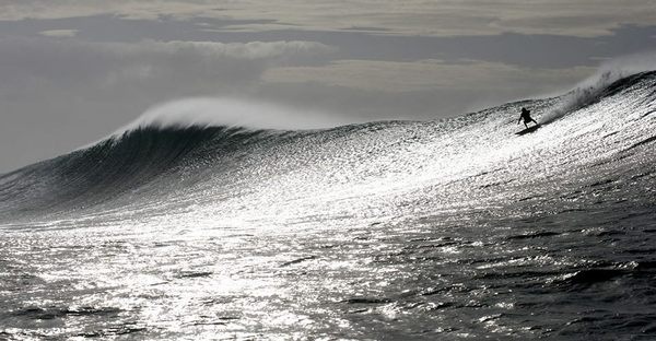 LE CONTAINER #wave
