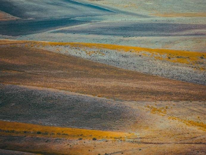 Photograph by Pale Grain #field #print #photograph #artwork #knoll #braid #nature