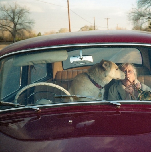 IRMA'S WORLD - Vice Magazine #woman #world #duncan #patrick #irmas #humor #dog