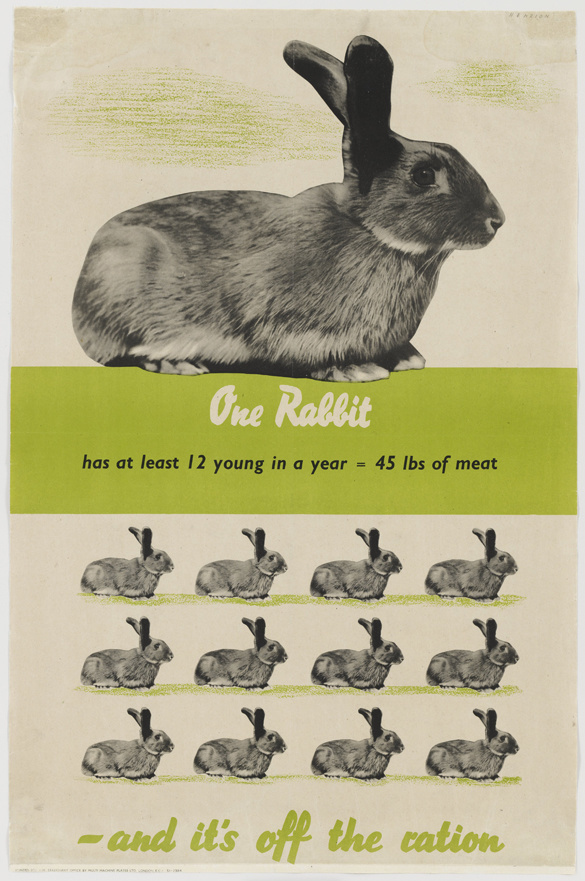 RABBIT MEAT