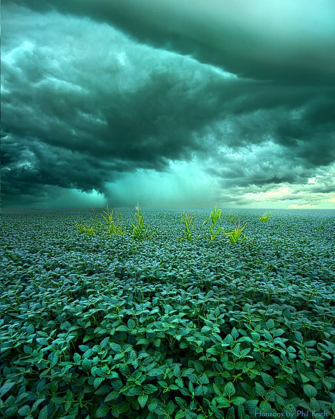 Amazing Wheather and Landscape Photography by Phil Koch