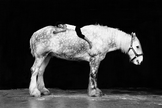Sara Bourke's blog | Nöjesguiden #horse #white #black #and