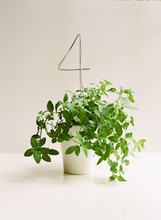 diy table number wedding ideas #table