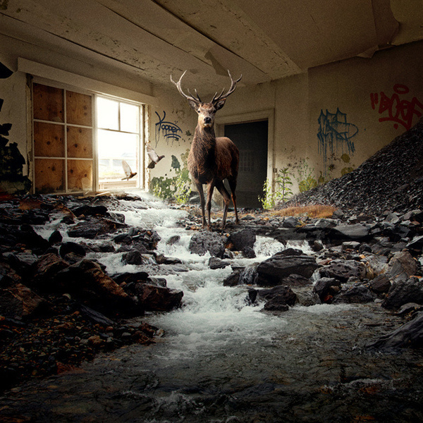 Untitled | Flickr Photo Sharing! #surreal #photography #surrealism