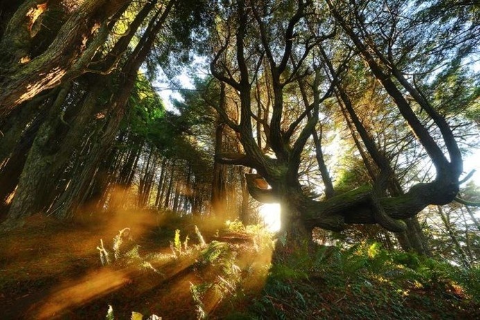 Beautiful Landscape Photography of Nature