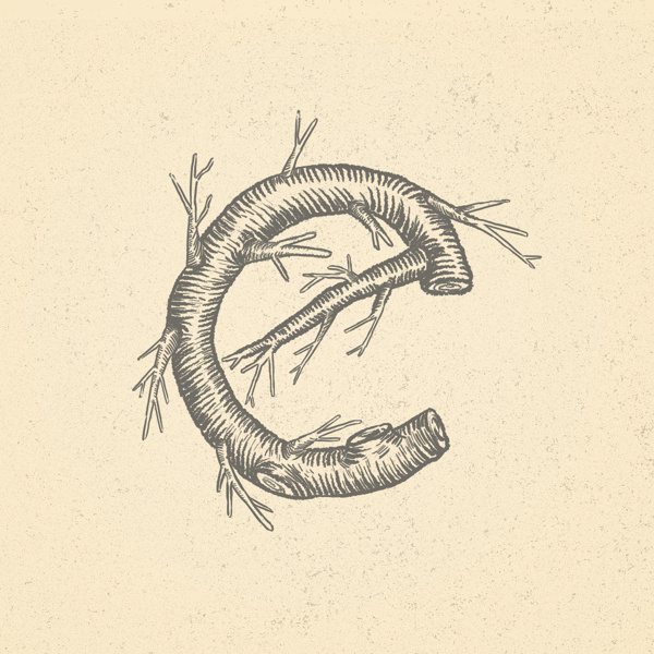E - Heymikel #typohraphie #letter #lettering #illustration