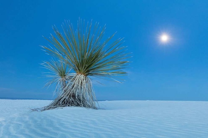 The Surreal and Desolate Landscapes Of The USA by David Clapp