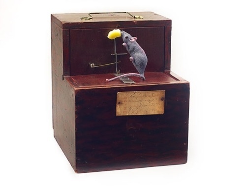 BMD Love Blog #machine #mouse #invention #trap #mousetrap #captive #device