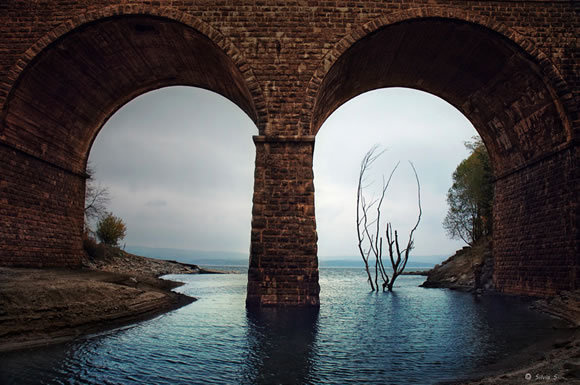 Inspiring Architecture and City Photography #water #tree #photography #drowned #bridge #arch #flood #river