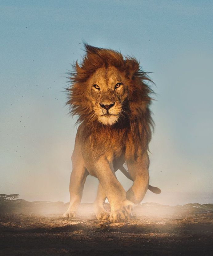 Unforgettable Portraits of Wild Animals by Shaaz Jung