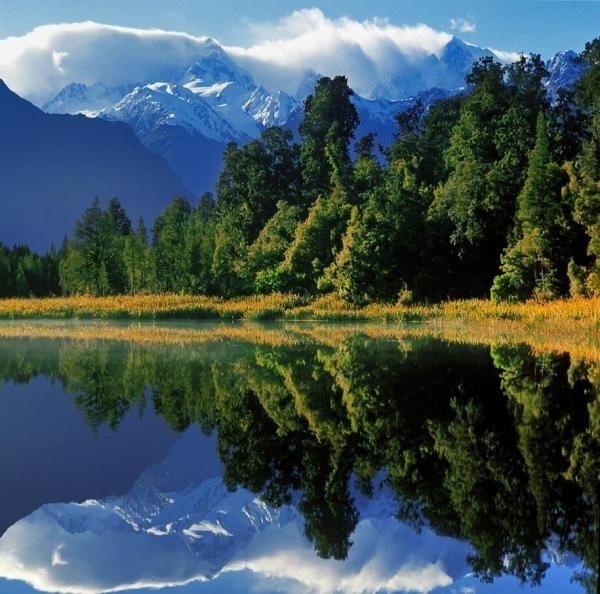 Beautiful Reflection Shots in Lake Matheson | Cuded #shots #matheson #reflection #lake #beautiful