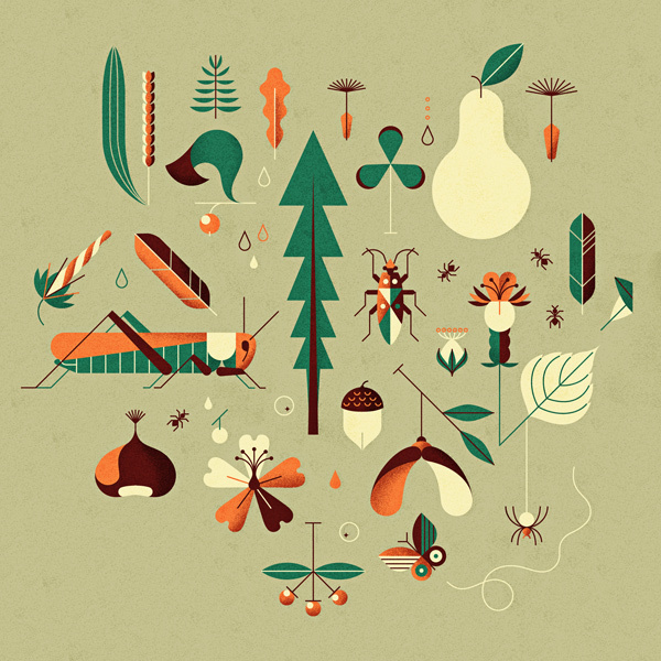 Countrylife on Behance #illsutration