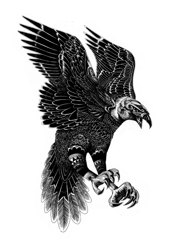 Wildlife part 2 on Behance #iain #eagle #macarthur