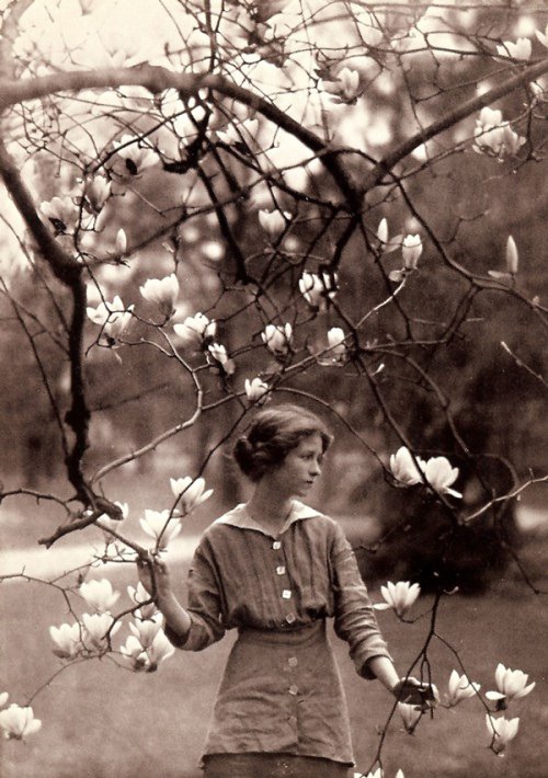Edna St. Vincent Millay on the Death Penalty and What It Really Means to Be an Anarchist – Brain Pickings