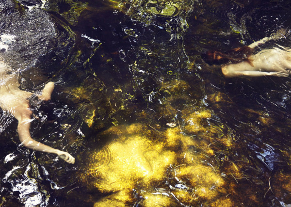 Sylve Colless | PICDIT #photo #photography