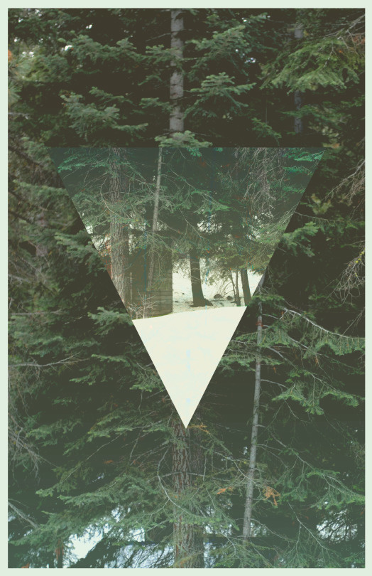 #poster #shape #forest #design #minimal #thomasadcock