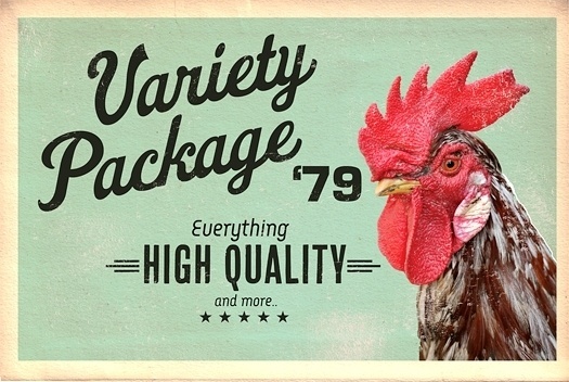 Variety Package '79 - www.redloto.com #font #rooster #everything #retro #redloto #vintage #poster #quality #high #package