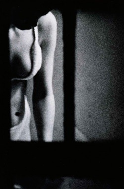 this isn't happiness™ (Through any window, Merry Alpern), Peteski