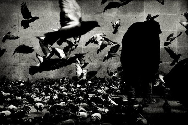 Black and White Photography by Andreas H. Bitesnich #inspiration #white #black #photography #and