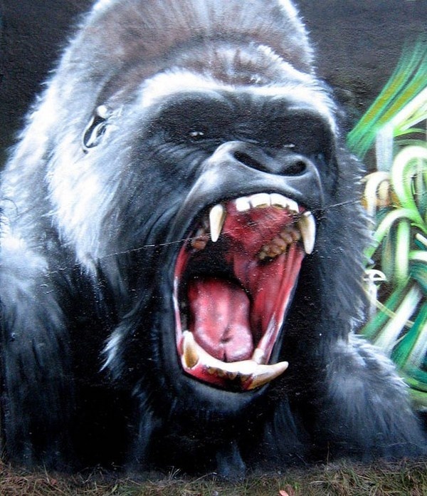 Gorilla in realistic street art #graffiti #realism #street #art #realistic