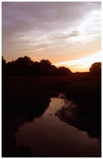 John Helmuth | Portfolio #sun #water #orange #summer #stream