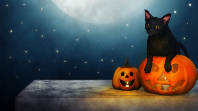 beginner easy halloween paintings & paint by numbers #painting