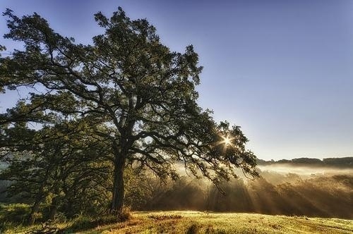 HDR by Chris Fisher | Professional Photography Blog #inspiration #photography #hdr