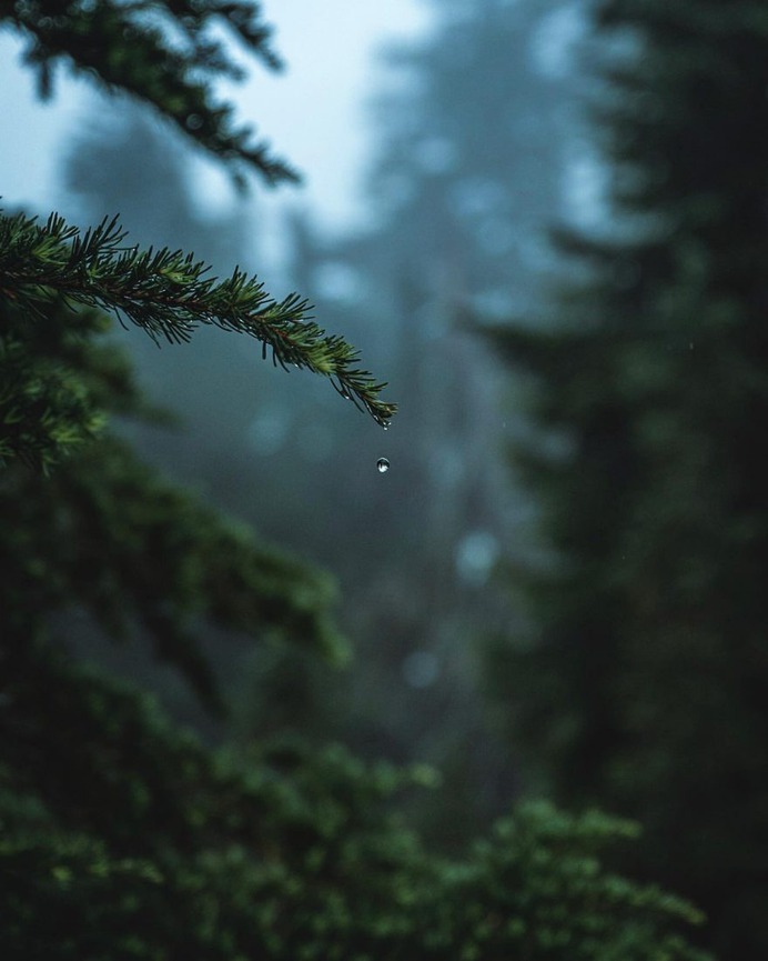 Stunning Outdoor and Landscape Photography by Zach Nichols