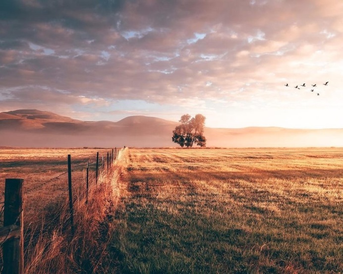 Stunning Instagrams by Joel Matuszczak