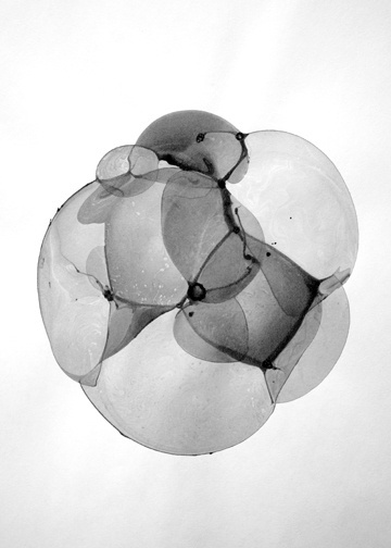 Buamai - Bubble Drawings : Charlotte X. C. Sullivan #photography #water #ink