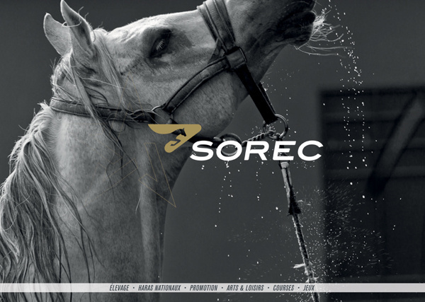 Sorec global Identity and branding #design #brand #identity #logo #sorec