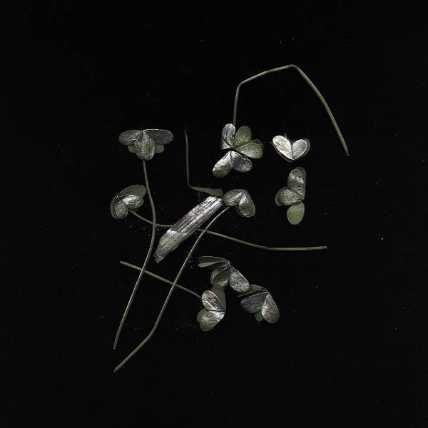 Wallflower Photomedia Gallery #grass #photography #nature