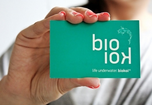 BIOKOI by www.artspazios.pt #business #packaging #card #print #design #art #poster #logo #typography