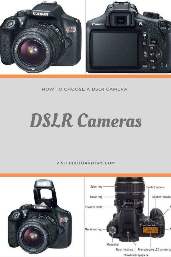 Buying guide for DSLR Camera-Reasons to Buy a DSLR. This is the best tip I can give to a beginner before buying a DSLR. If you want to buy a DSLR just to be used for your holiday, wedding, birthday party #DSLRguide #dslrcamera #dslrtutorial #dslrtips #dslrtricks #photoandtips #dsrlphotography #photographytips