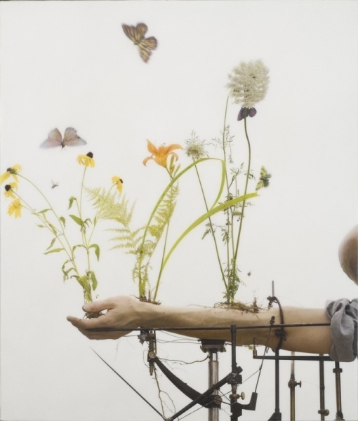 Robert and Shana ParkeHarrison #butterflies #mechanism #photo #alchemy #hand #science #flowers