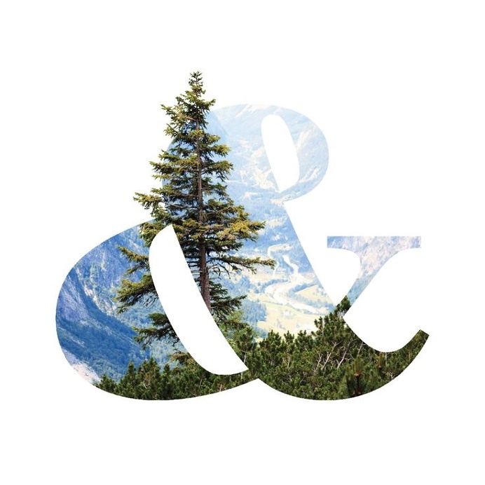 Design trends study for Pivot Group #ampersand #designtrends #forest #oregon #type