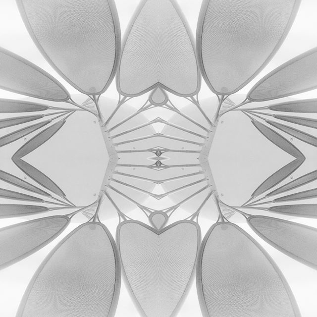 #pattern (C) [ catrin mackowski ]
