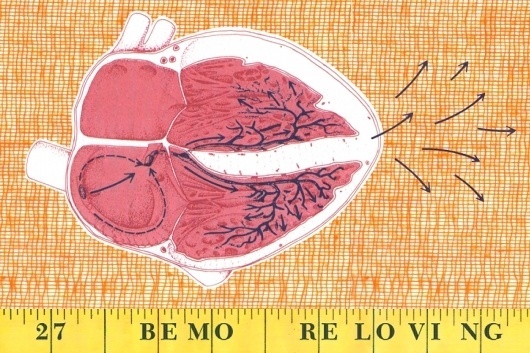 Google Image Result for http://feltandwireshop.com/system/product_images/462/original/27_more_loving_lores.jpg%3F1254004164 #illustration #design #chen #typography