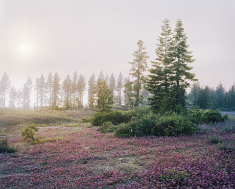 Young Suh | PICDIT #photo #photos #photography