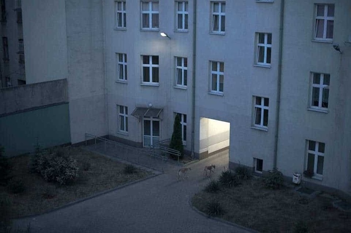 Narrative Photography by Weronika Izdebska