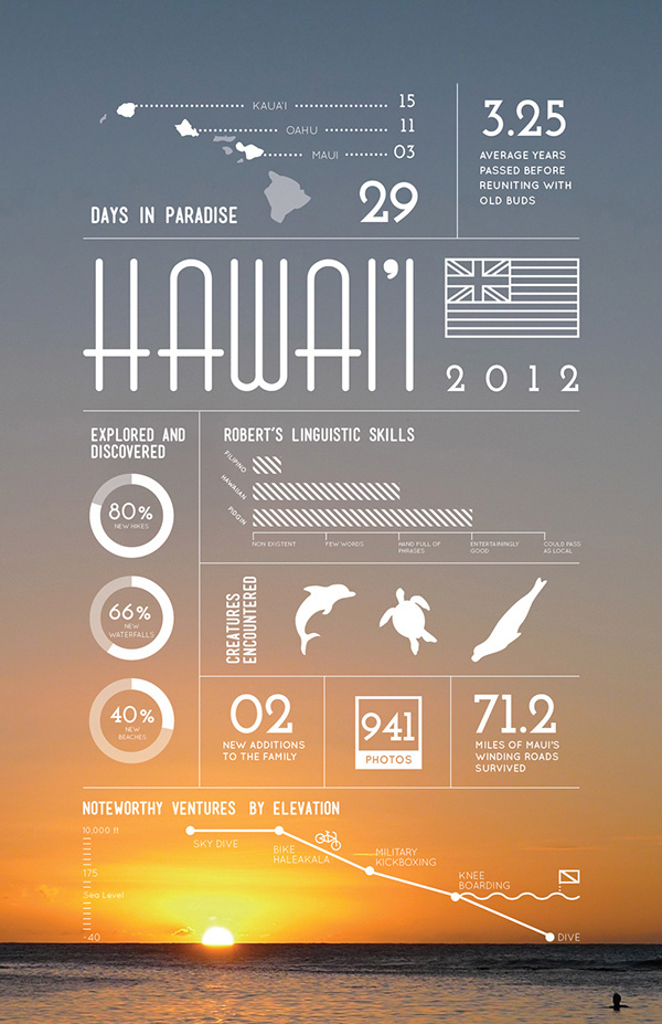 Hawaii, Branding Identity, Infographics, Grid Layouts, and Layouts