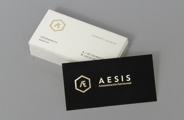 AESIS Business Cards #uffa #business #branding #print #identity #cards