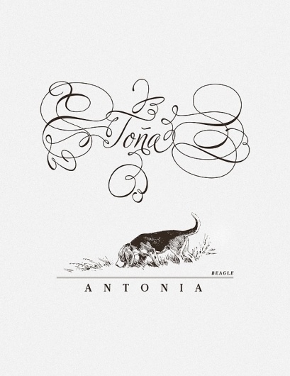 TOÑA.jpg (612×792) #type #lettering #beagle