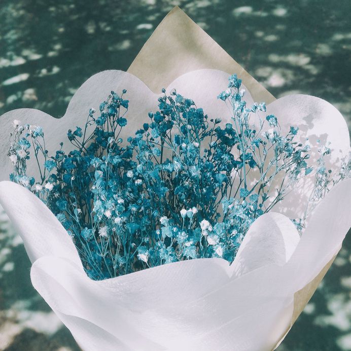 A bouquet of tiny white flowers wrapped in white paper