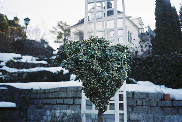 Photography by Hanna Ukura #inspration #photography #art