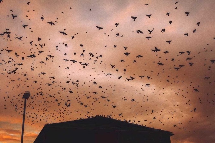 Beautiful and Dreamlike Photography by Isabella Stahl