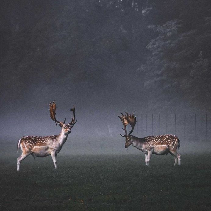 Stunning Travel and Adventure Photography by Glenn Anthonie