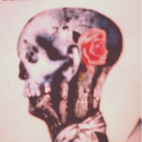 TATT SABBATH #profile #face #skull #rose